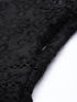 Anna Black Organza Scallop Lace Mini Dress