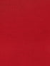 RED RUCHED BACK CROP TOP